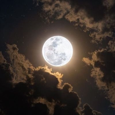 dilsonlc's profile picture. 