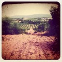 Javier Alejandre - @javi_alejandre - Twitter