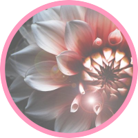 わか (@waca_st) Twitter profile photo