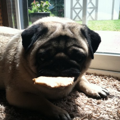 tsaeg04's profile picture. Health & Wealth. Clean Tech. GIS. Mindfulness. 🧡 1% better everyday 🚀