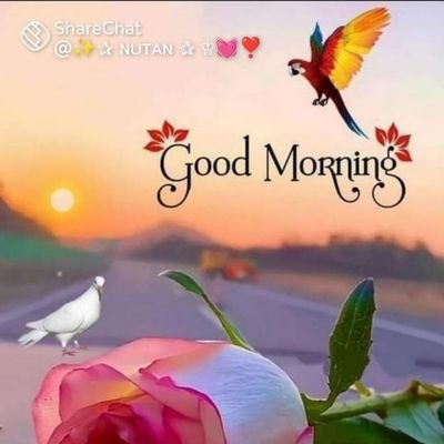 mls_in's profile picture. 