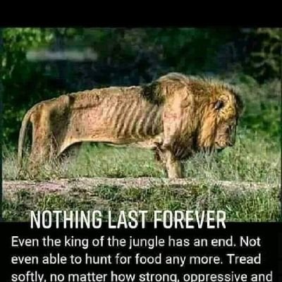 elijahanslem's profile picture. 