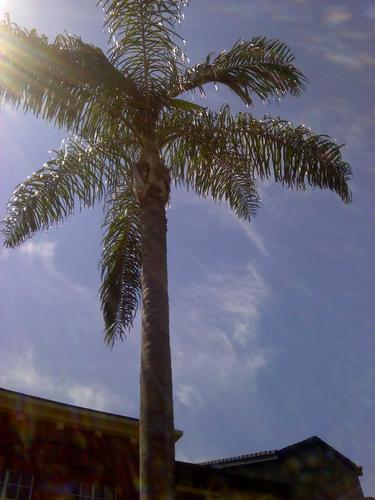 ElviraPinto1's profile picture. 