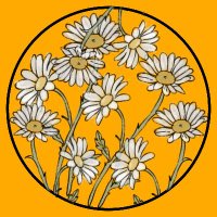 ซัปพอร์ตนักเขียนแบบตะโกน!! ft.รับพิสูจน์อักษร (@takonsupport) 's Twitter Profile Photo ซัปพอร์ตนักเขียนแบบตะโกน!! ft.รับพิสูจน์อักษร (@takonsupport) 's Twitter Profile Photo