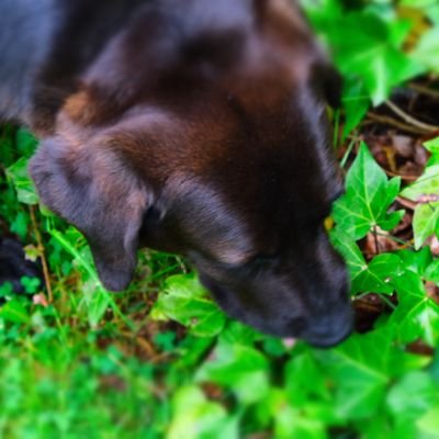 Adolfinka's profile picture. 