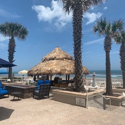 flightdeck_787's profile picture. 