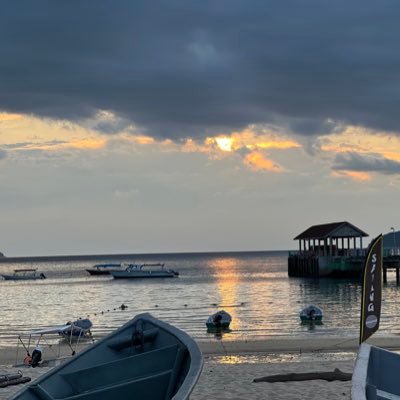 ahhkim65's profile picture. Stay cool