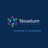 Tesselum's profile picture. La unión de todas las piezas dispuestas estratégicamente sin dejar huecos, ni sé superpongan dentro de una empresa, en las áreas Fiscal, Legal y Patrimonial.