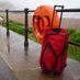Sidmouth Gateway (@gatewaysidmouth) Twitter profile photo Sidmouth Gateway (@gatewaysidmouth) Twitter profile photo