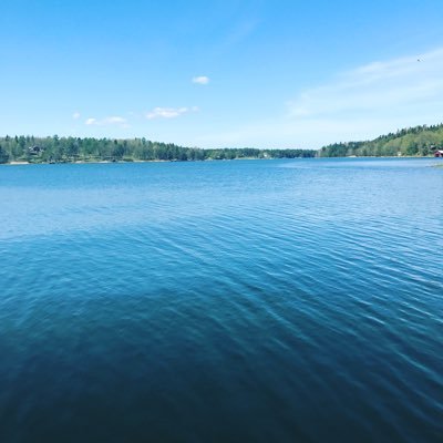 nicke931's profile picture. 