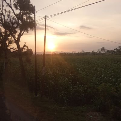 HaesTanwi's profile picture. 