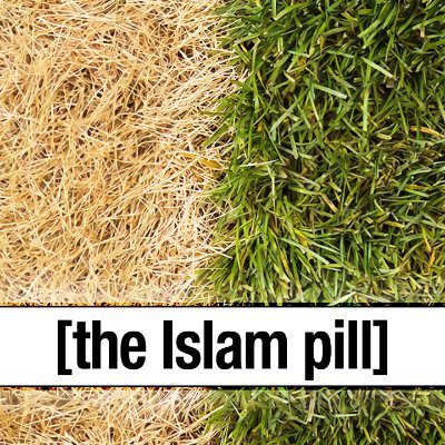 the Islam pill