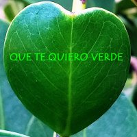 Que yo te Quiero Verde(@cuidemoselmonte) 's Twitter Profile Photo