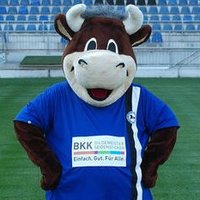 DSC Lohmann (@bielefelddsc) 's Twitter Profile