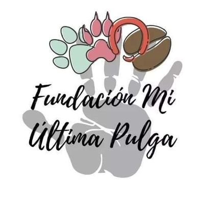 Rescatistas y defensores de los animales