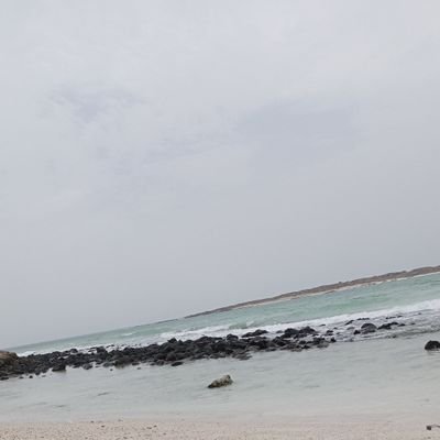 mhmdala36176871's profile picture. بنات