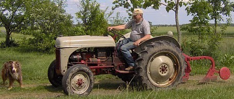Commonsense vegetable and livestock grower, beekeeper and interested student of life.