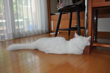 bluesman_j45's profile picture. 