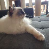 Lüfti | NRW (@lehrerwahnsinn) 's Twitter Profile