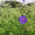 Natural Funerals Direct (@greenerfunerals) Twitter profile photo Natural Funerals Direct (@greenerfunerals) Twitter profile photo