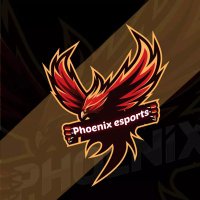 Phoenix Esports (@phoenix11055504) 's Twitter Profile