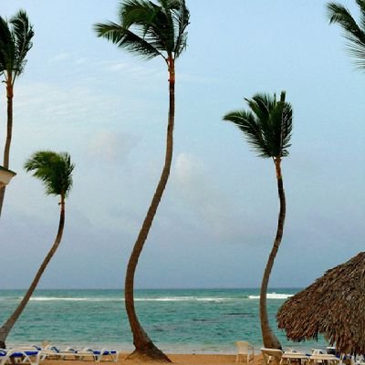 saregA_3's profile picture. Δύο τα εναντιώτατα ευβουλία είναι, τάχος τε και οργήν (Δυο πράγματα είναι αντίθετα στη λήψη σωστής απόφασης, η βιασύνη και η οργή.)