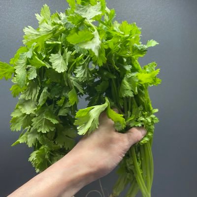 micco033's profile picture. パクチー！富士山！！ロックンロール！！！！