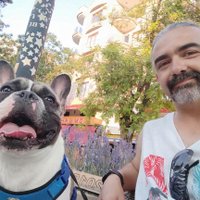 diskonnektus erektus Arda (@yldrm_arda_1903) 's Twitter Profile