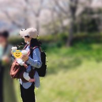 さきぼうちゃん (@pippo_pk) 's Twitter Profile