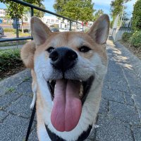 iNSTINCT (@instinctcsgo) 's Twitter Profile Photo iNSTINCT (@instinctcsgo) 's Twitter Profile Photo