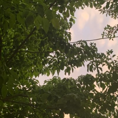 _Icy_water's profile picture. video games fun