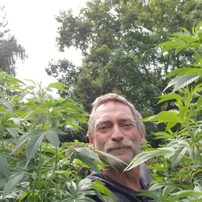 DarcyEmberly's profile picture. I Love Classic Cars and Classy Women
I like to explore New Places and  occasionally, new ideas 😉
Married, but not buried.