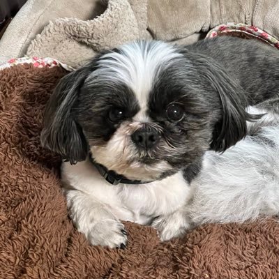 tCBN9uQMZsPe8Ws's profile picture. 