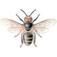 19BMW46's profile picture. 