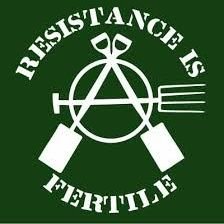 Hillbilly antifascist, anarchist, grower of mushrooms& builder of pipe organs with ADHD and anxiety disorder 🏴🌲🍄🏳️🌈🇭🇹🇵🇸