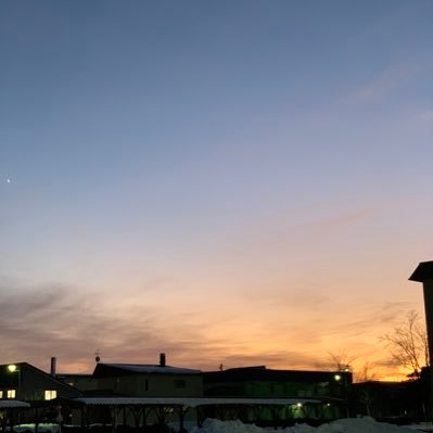 nashico_diary's profile picture. 