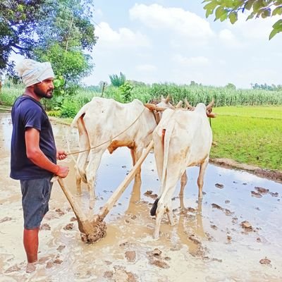 #गोंडा_301_गौरा विधानसभा 
#संस्थापक/अध्यक्ष 
#गरीब_सेवा_संस्थान 
#क्षेत्र_पंचायत_सदस्य 
#ऐलनपुर_ग्रंट 
8874234001