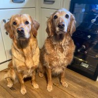 Eddie & Bonnie 🌈Patsy💛(@PatsyandEdds) 's Twitter Profile Photo Eddie & Bonnie 🌈Patsy💛(@PatsyandEdds) 's Twitter Profile Photo