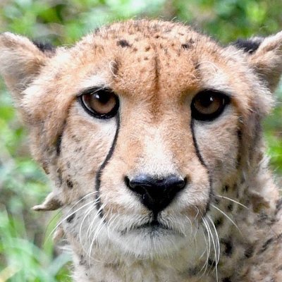 BEbfa1's profile picture. とにかく早いのが自慢です。デート費用 月50使うおじさん。
ダンススクールを経営しています。