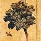 trees (@treesport) 's Twitter Profile