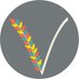 Vittle Bakeshop (@vittlebakeshop) Twitter profile photo Vittle Bakeshop (@vittlebakeshop) Twitter profile photo