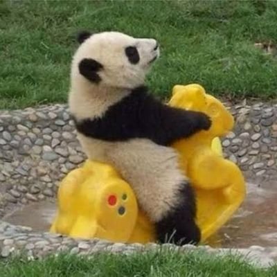 braindump_101's profile picture. i stay true to my twitter username