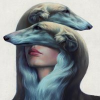 shadowless (@shadowlessnft) 's Twitter Profile
