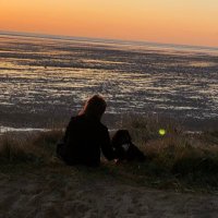 chris (@chris54724361) 's Twitter Profile