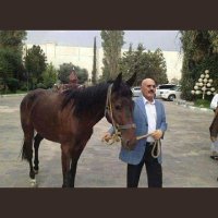 المتفائل بالخير (@sdalmysy1) 's Twitter Profile