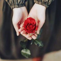 chahra zed (@201438chahrazed) 's Twitter Profile