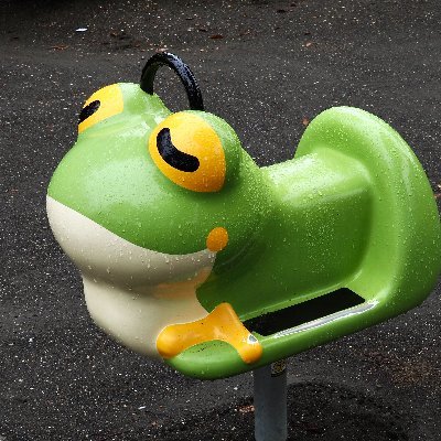 frog_frog Profile Picture