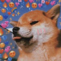 luffyyy (@kanekii_72) 's Twitter Profile Photo luffyyy (@kanekii_72) 's Twitter Profile Photo