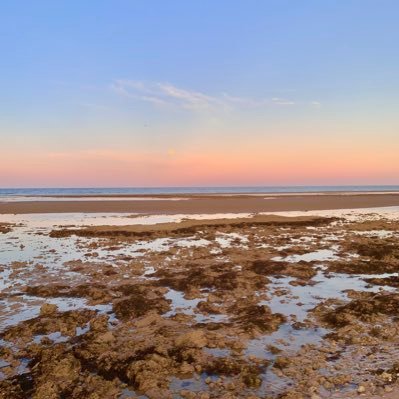 ChrystalLeeH's profile picture. 