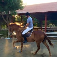 Carlos Pinto (@carlosp74791174) 's Twitter Profile